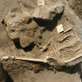 skeleton_thumb